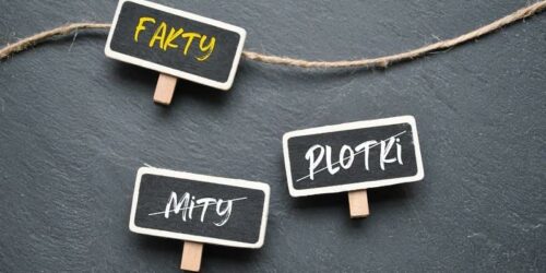 Fakty mity