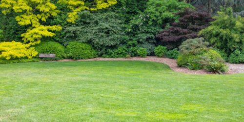 Wodoprzepuszczalność gleby