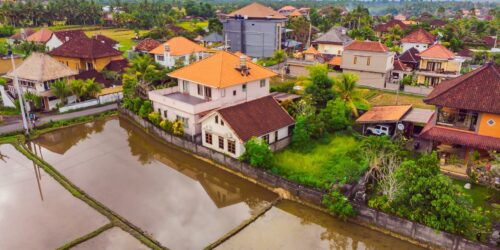 rozruchowe biopreparaty