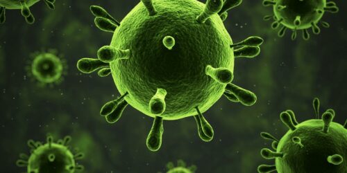 przydomowych oczyszczalni