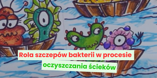 Rola szczepów bakterii w procesie oczyszczania ścieków