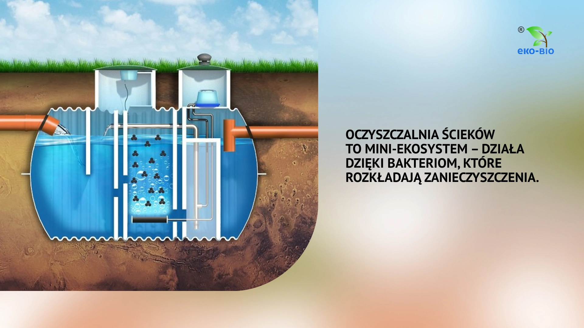 Oczyszczalnia to mini ekosystem